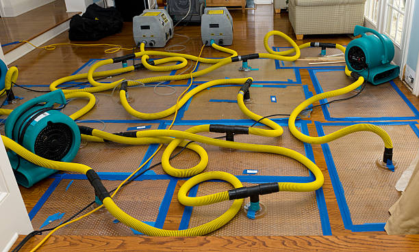 Professional Crawl Space Water Removal technician working in Dresden, ME